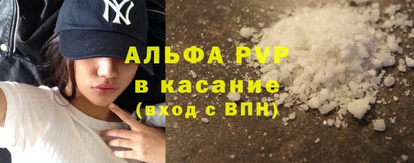 индика Абинск